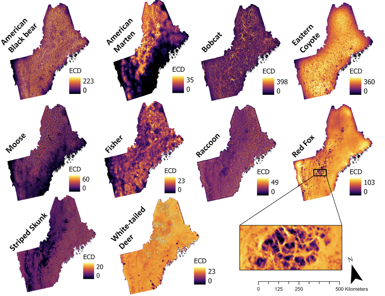 Main page image for Landscape connectivity rasters: cumulative current flow